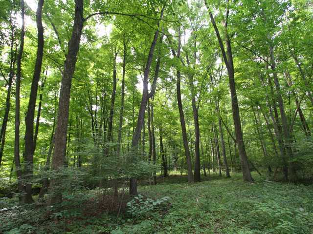 0 Sunbury Road, Unit LOT 219 Galena, OH 43021 - Photo 12 of 15