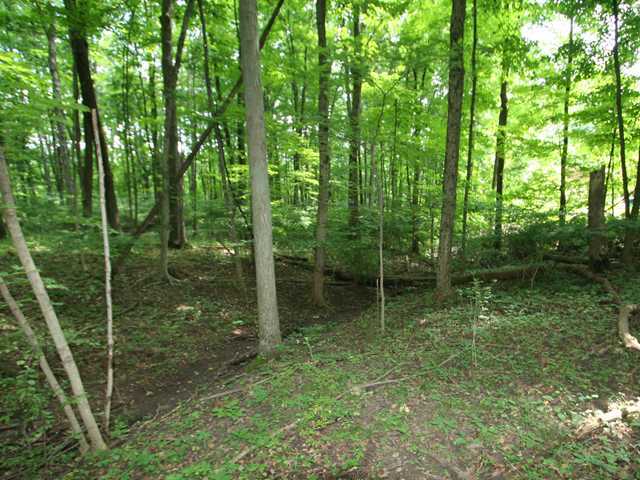 0 Sunbury Road, Unit LOT 219 Galena, OH 43021 - Photo 2 of 15