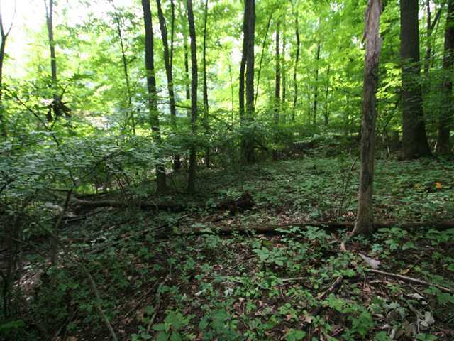 0 Sunbury Road, Unit LOT 219 Galena, OH 43021 - Photo 3 of 15
