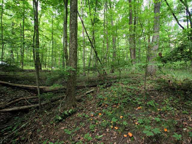 0 Sunbury Road, Unit LOT 219 Galena, OH 43021 - Photo 4 of 15