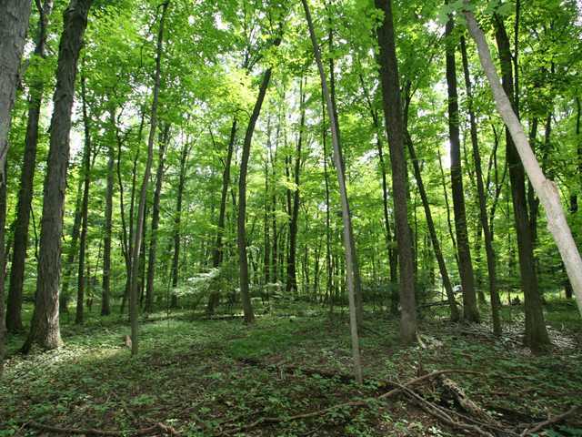 0 Sunbury Road, Unit LOT 219 Galena, OH 43021 - Photo 8 of 15