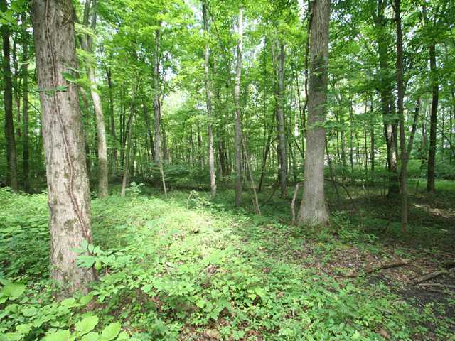 0 Sunbury Road, Unit LOT 219 Galena, OH 43021 - Photo 9 of 15