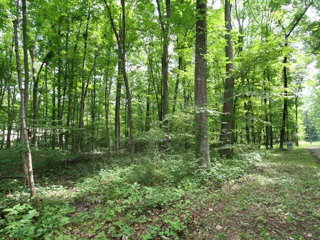 0 Sunbury Road, Unit LOT 219 Galena, OH 43021 - Photo 10 of 15