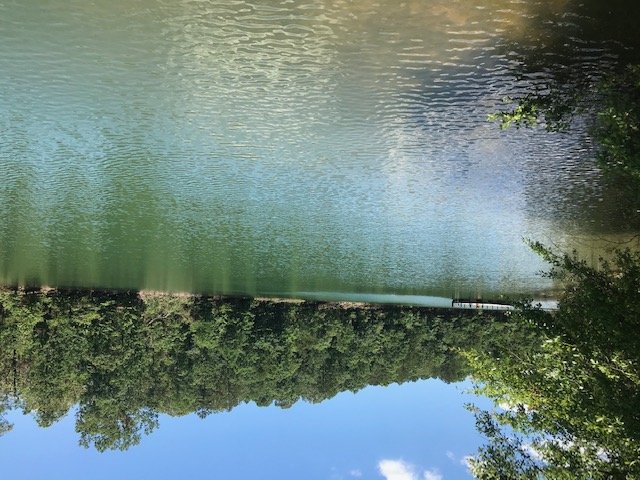 731 Harts Cove Way Seneca, SC 29678 - Photo 29 of 39