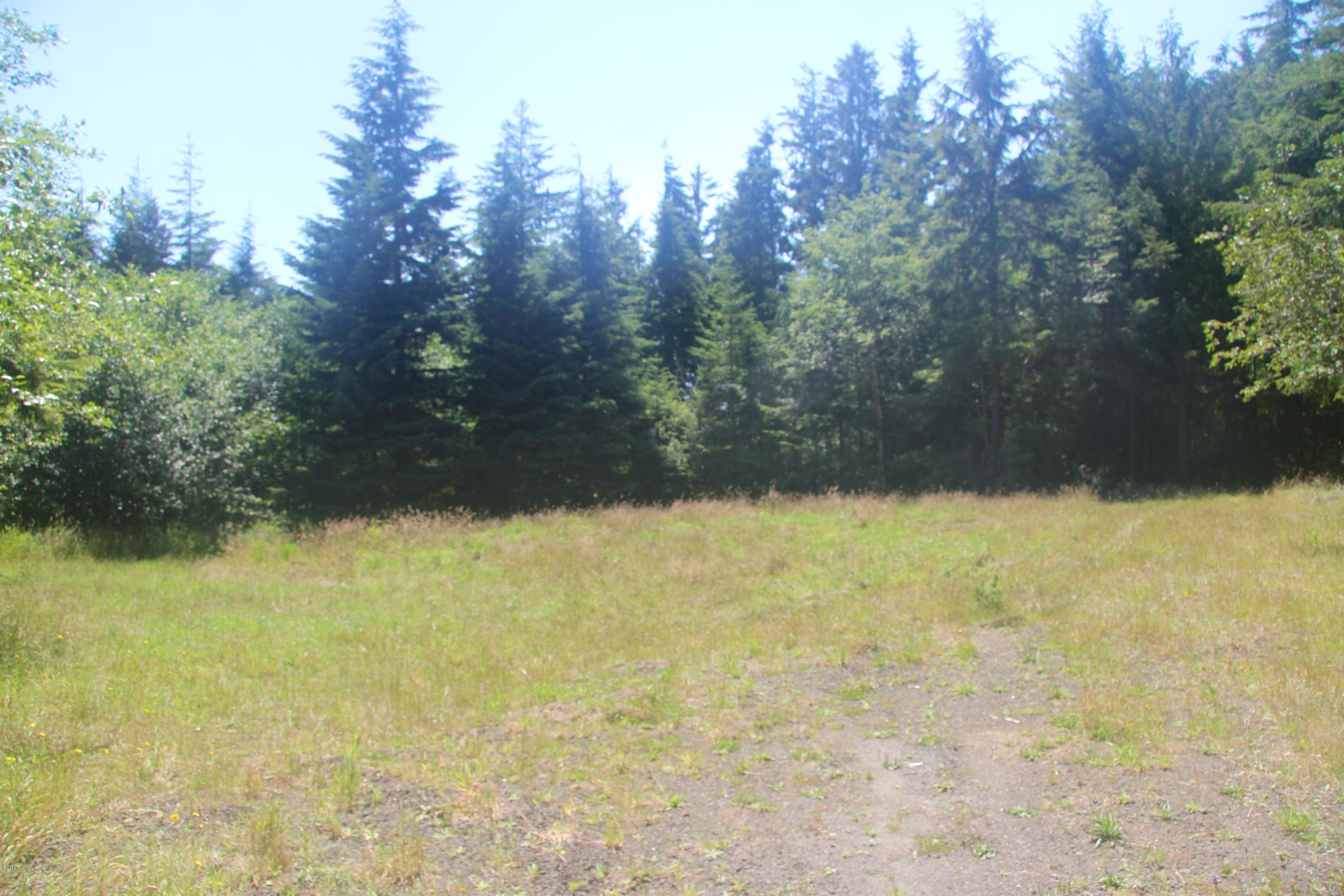 1300 Wakonda Beach Road Waldport, OR 97394 - Photo 2 of 7 Lot 1300