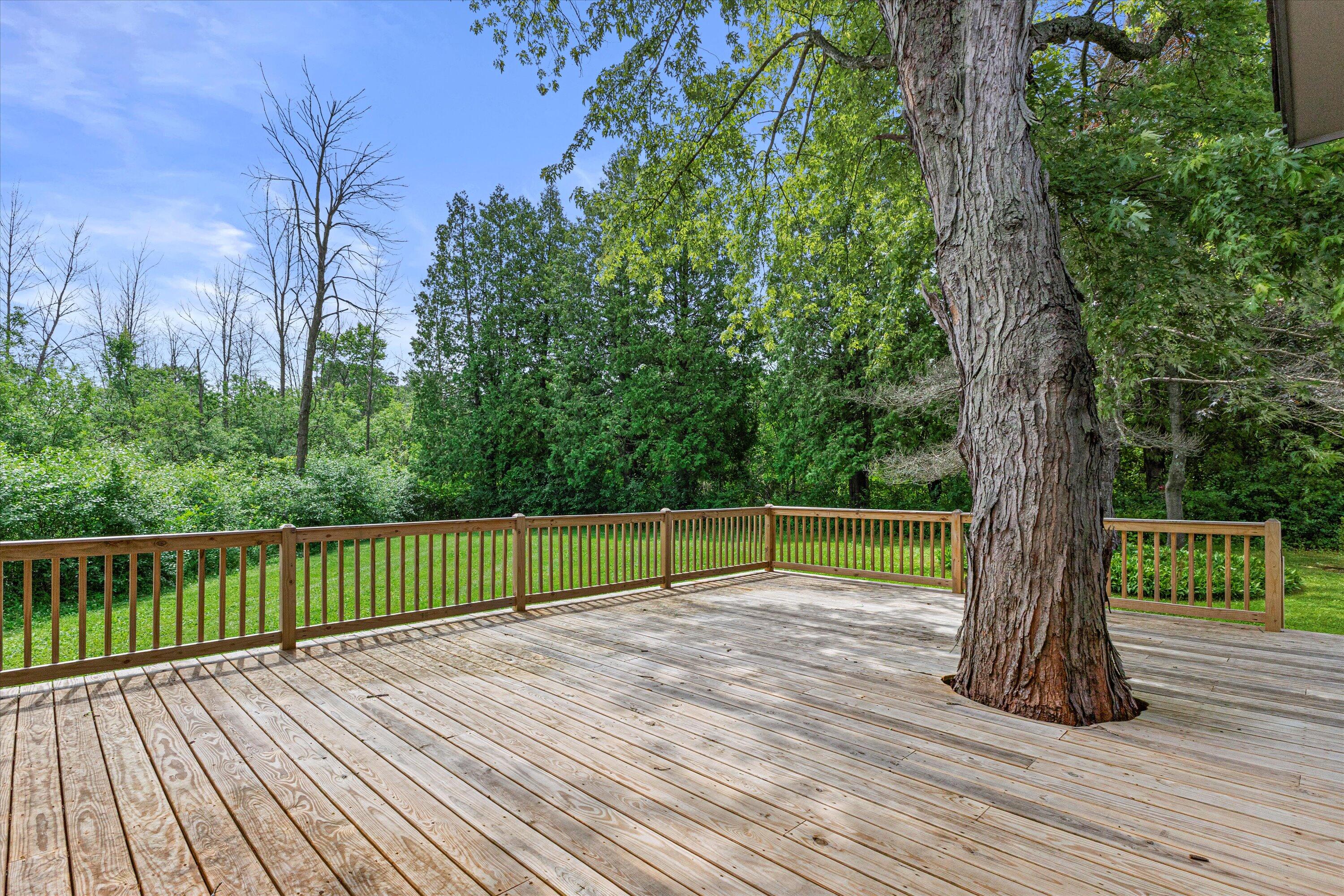 1465 West County Line Road River Hills, WI 53217 - Photo 41 of 49 22-IMG_2634