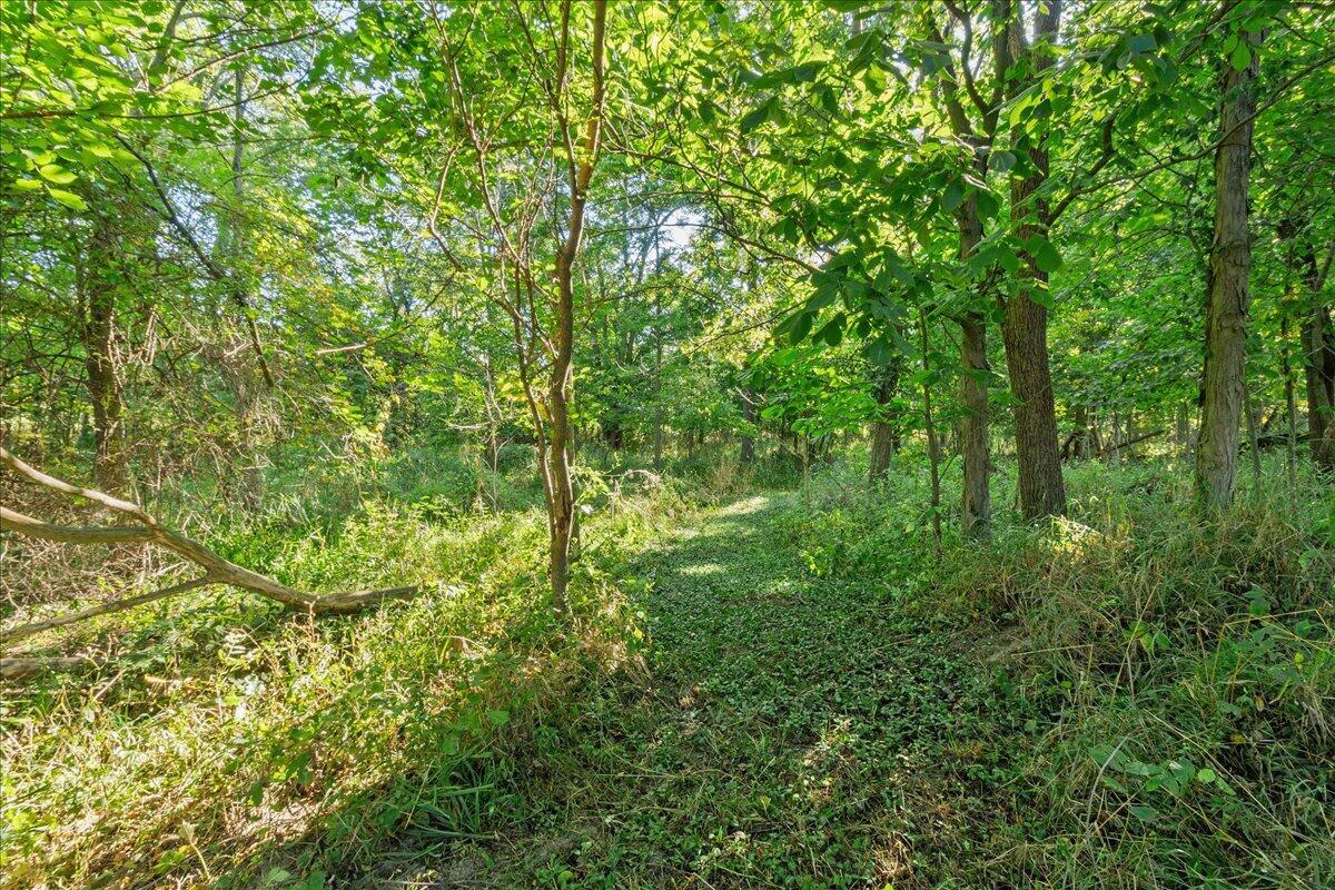 19250 Powder Lick Road Raymond, OH 43067 - Photo 29 of 52 29-IMG_1101