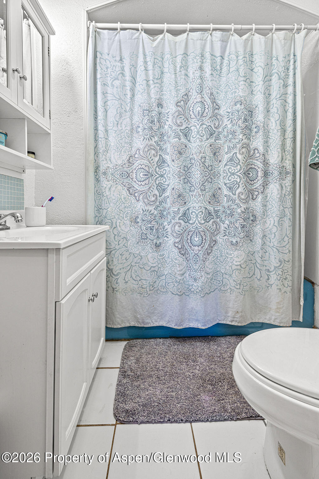 604 Tucker Street Craig, CO 81625 - Photo 18 of 35 a bathroom with a toilet a sink and curtain