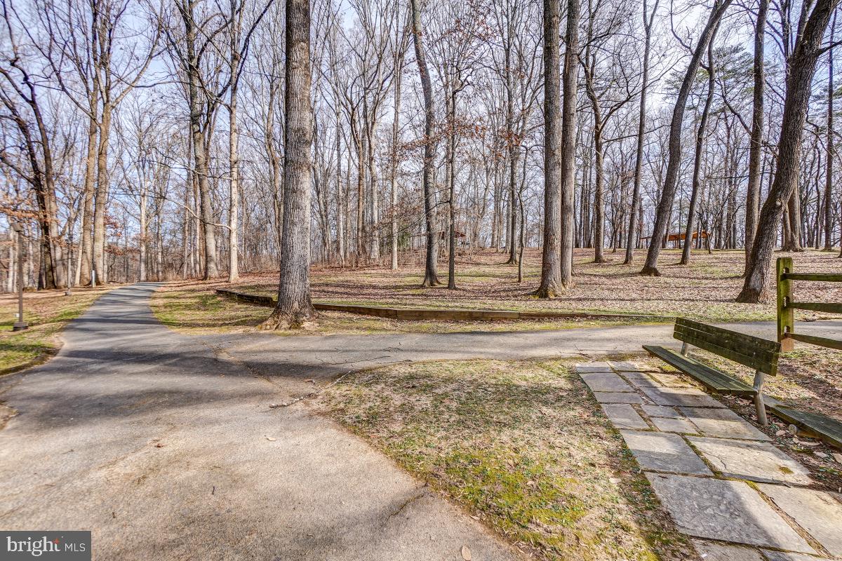 7802 Ivymount Terrace Potomac, MD 20854 - Photo 45 of 51 a view of a yard with tree s