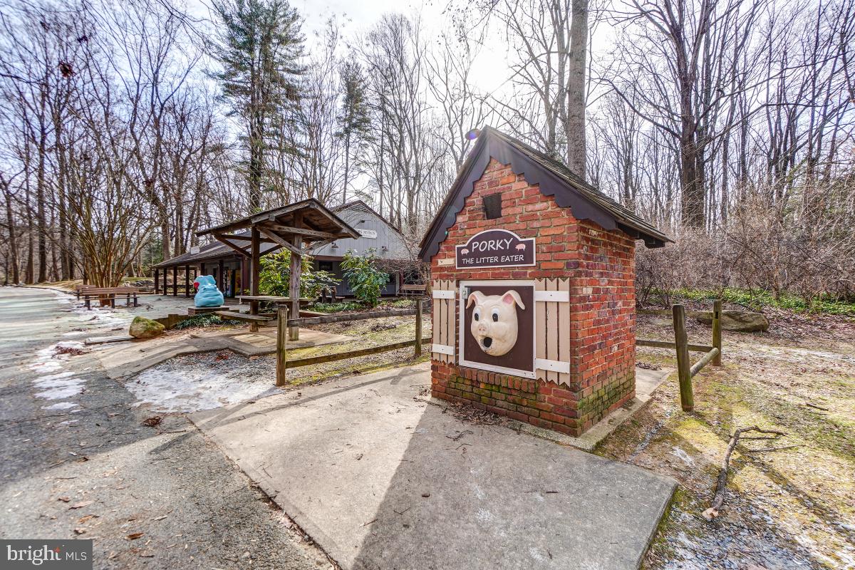 7802 Ivymount Terrace Potomac, MD 20854 - Photo 48 of 51