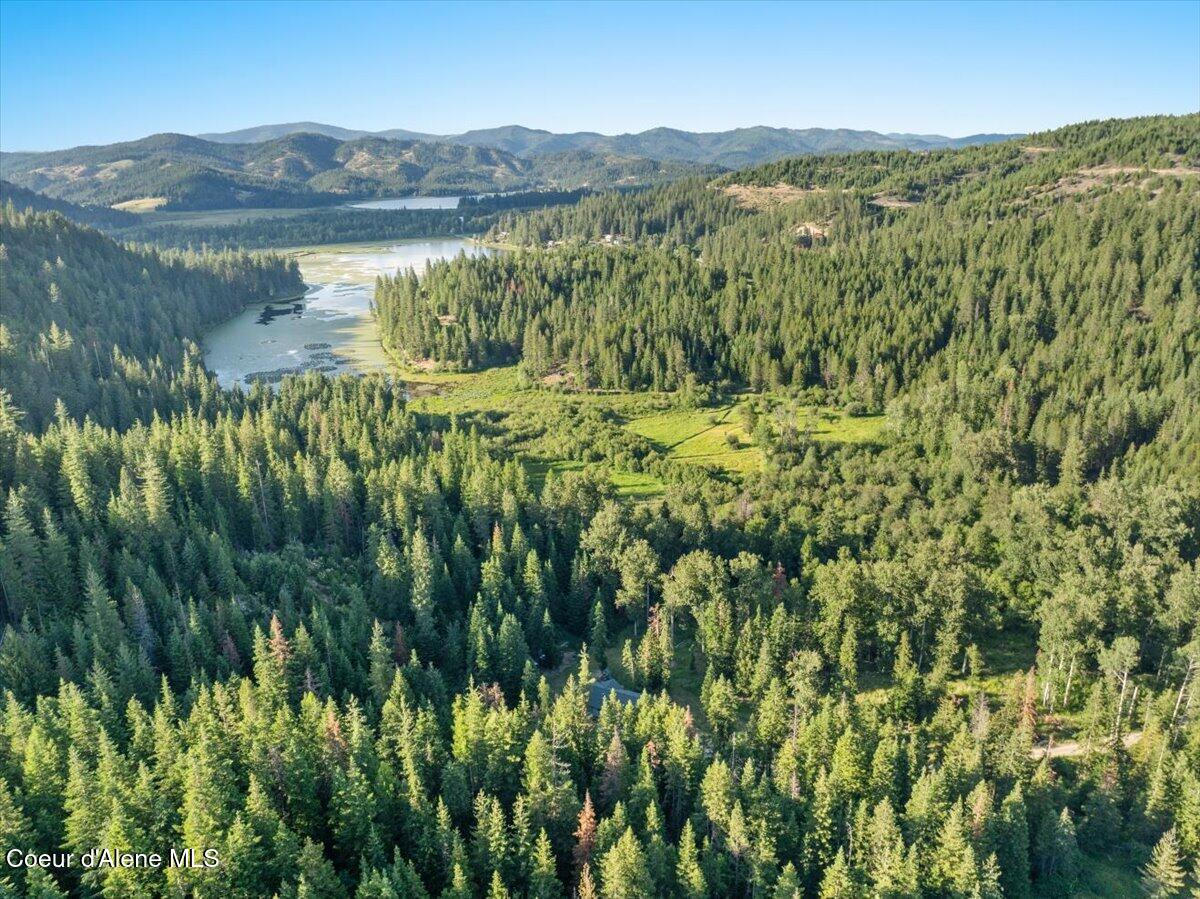 17727 South Bull Run Road Cataldo, ID 83810 - Photo 64 of 72 67-17727 S Bull Run Rd_RedHogMedia