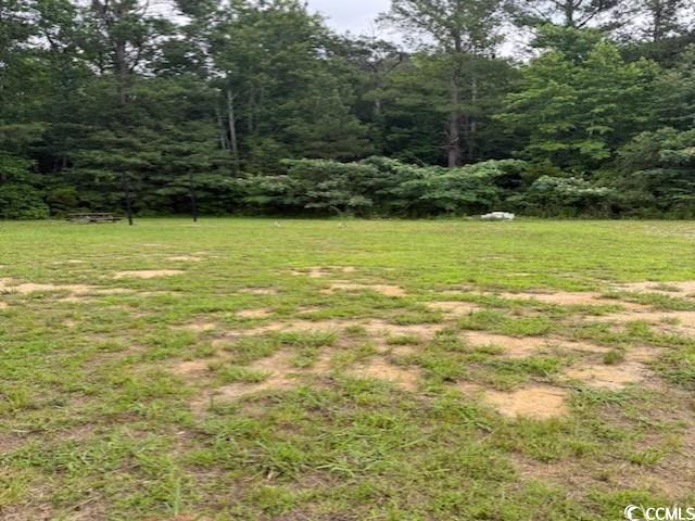 65 Clemmons Drive Tabor City, NC 28463 - Photo 7 of 29 View of yard featuring a wooded view