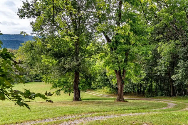 a view of a golf course