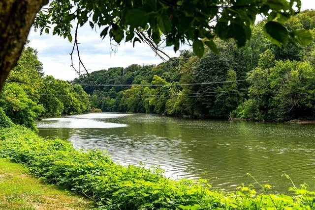 a view of a water fountain