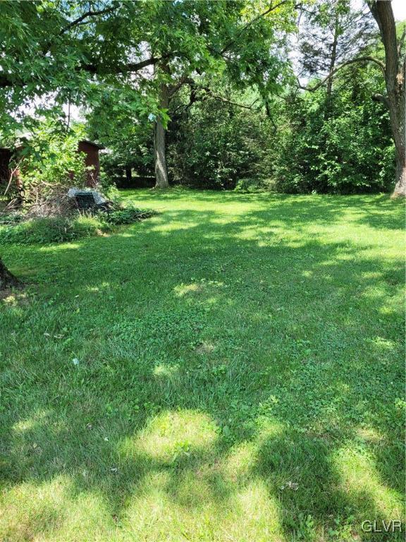 1724 Butz Road Breinigsville, PA 18031 - Photo 13 of 14 back Yard