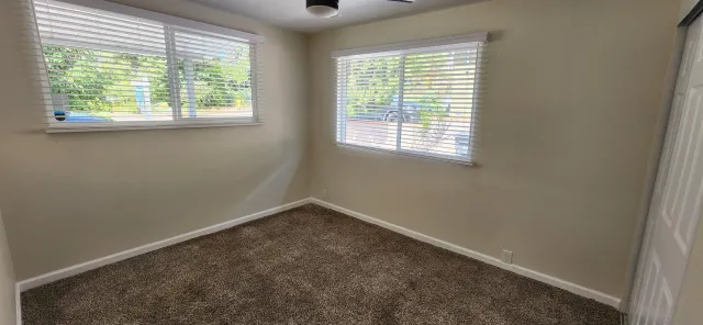 a view of a backyard with plants
