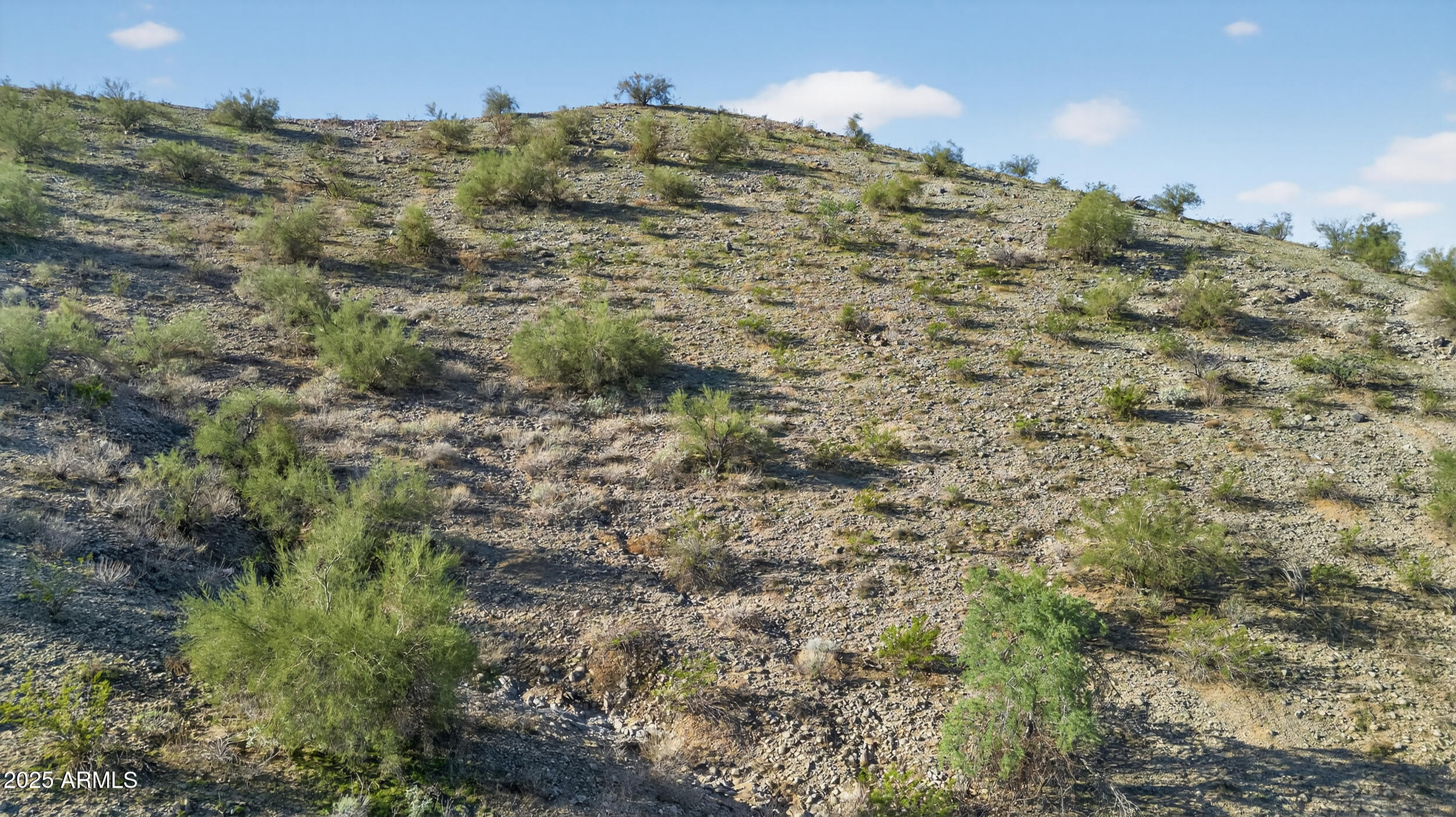 17803 West Estes Way, Unit 1 Goodyear, AZ 85338 - Photo 18 of 36 a view of a bunch of trees