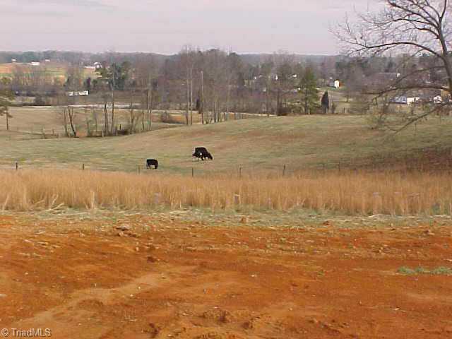 4 Autumn Ridge Drive Lexington, NC 27295 - Photo 5 of 7 Other.
