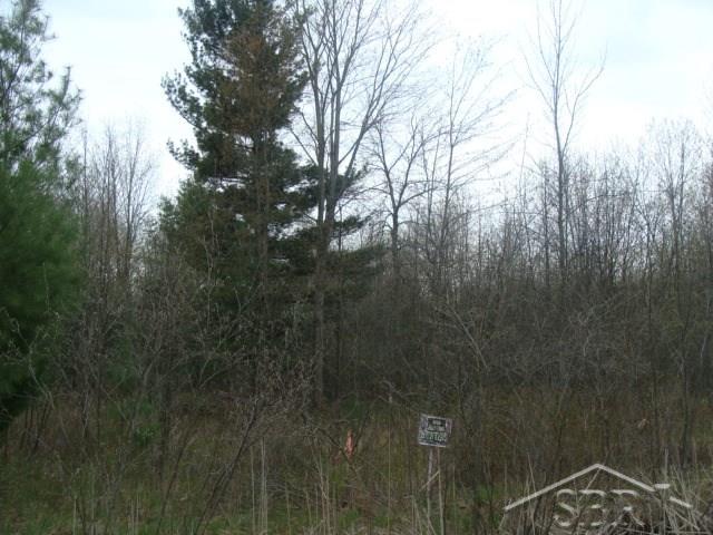 0 Noggle Road Au Gres, MI 48703 - Photo 2 of 3