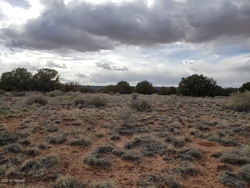 4362 Colt Road Snowflake, AZ 85937 - Photo 8 of 20 a view of a bunch of trees in middle of a field