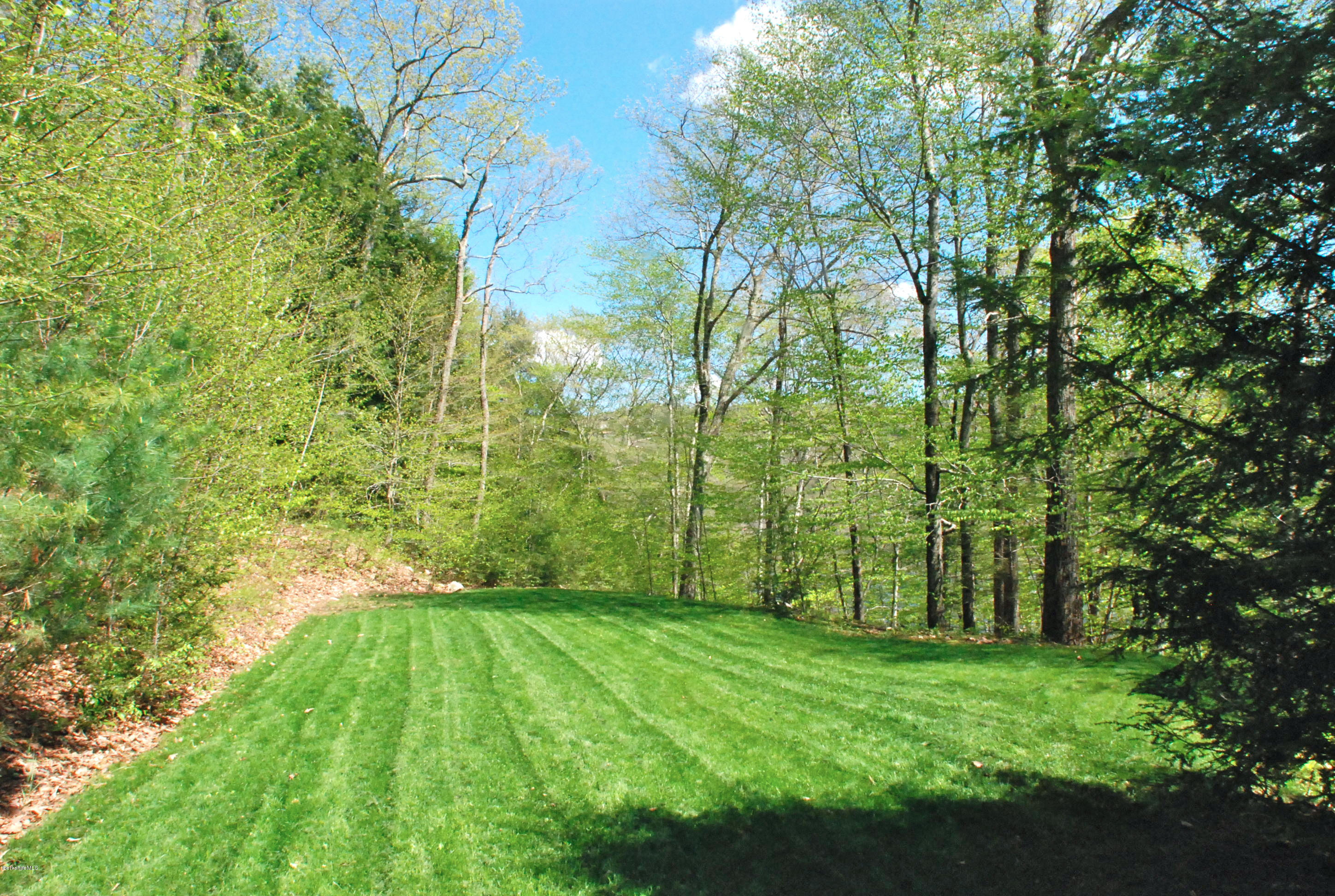 22 Dowd Road Monterey, MA 01245 - Photo 22 of 24 BACK YARD