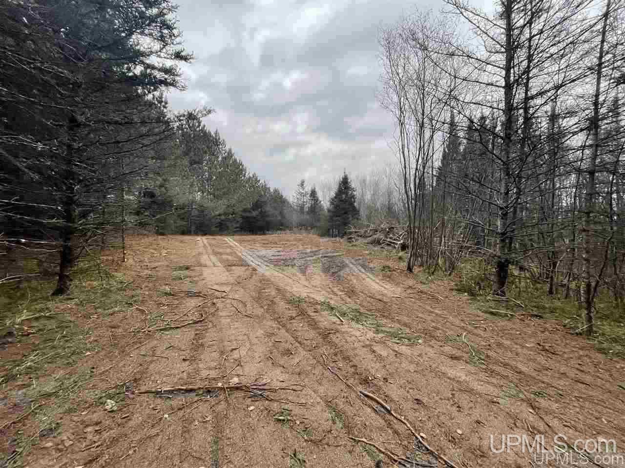 Tbd St Nicholas Road Rock, MI 49880 - Photo 21 of 22