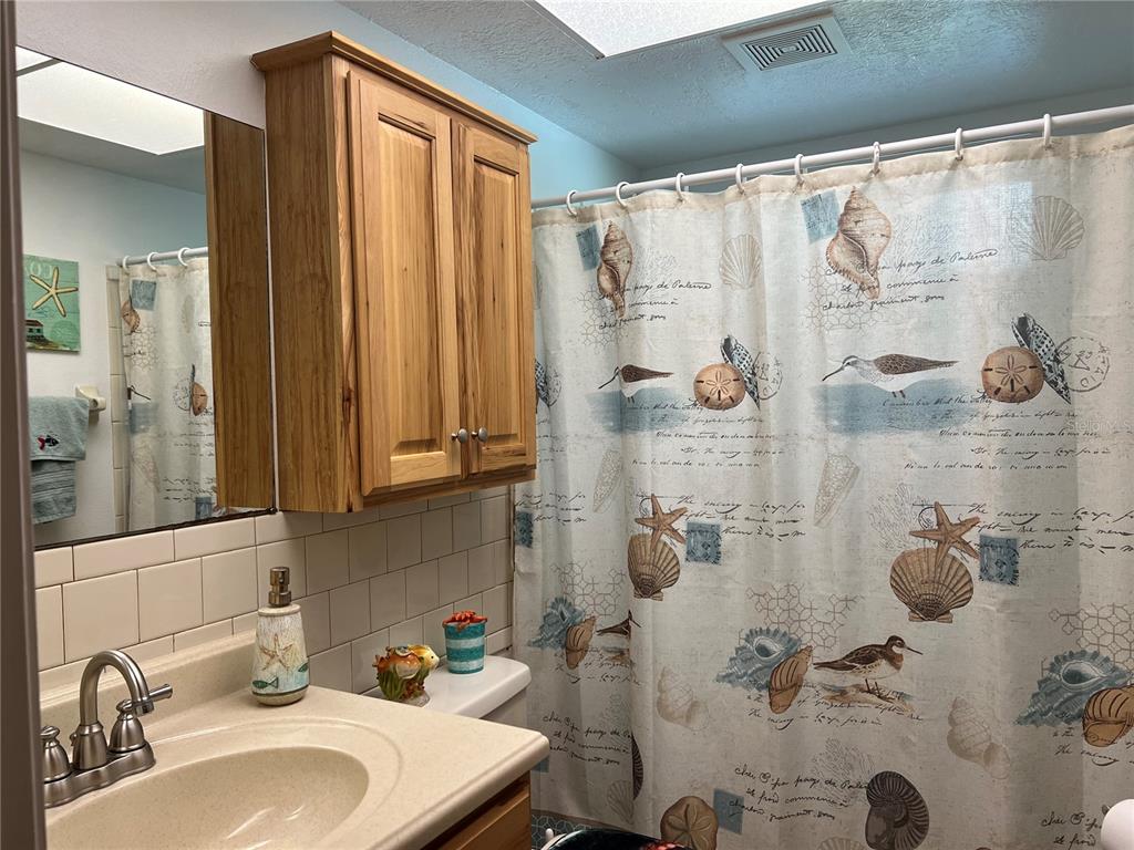 11375 Corrigan Street Spring Hill, FL 34609 - Photo 20 of 36 a bathroom with a sink and a mirror