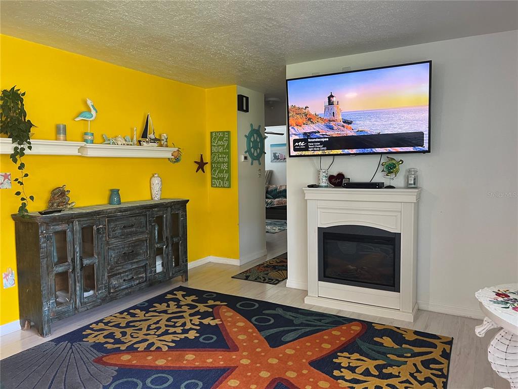 11375 Corrigan Street Spring Hill, FL 34609 - Photo 7 of 36 a living room with fireplace furniture and a flat screen tv