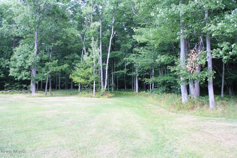 1746 Hardscrabble Road Mansfield, PA 16933 - Photo 41 of 42 12-Land (11)