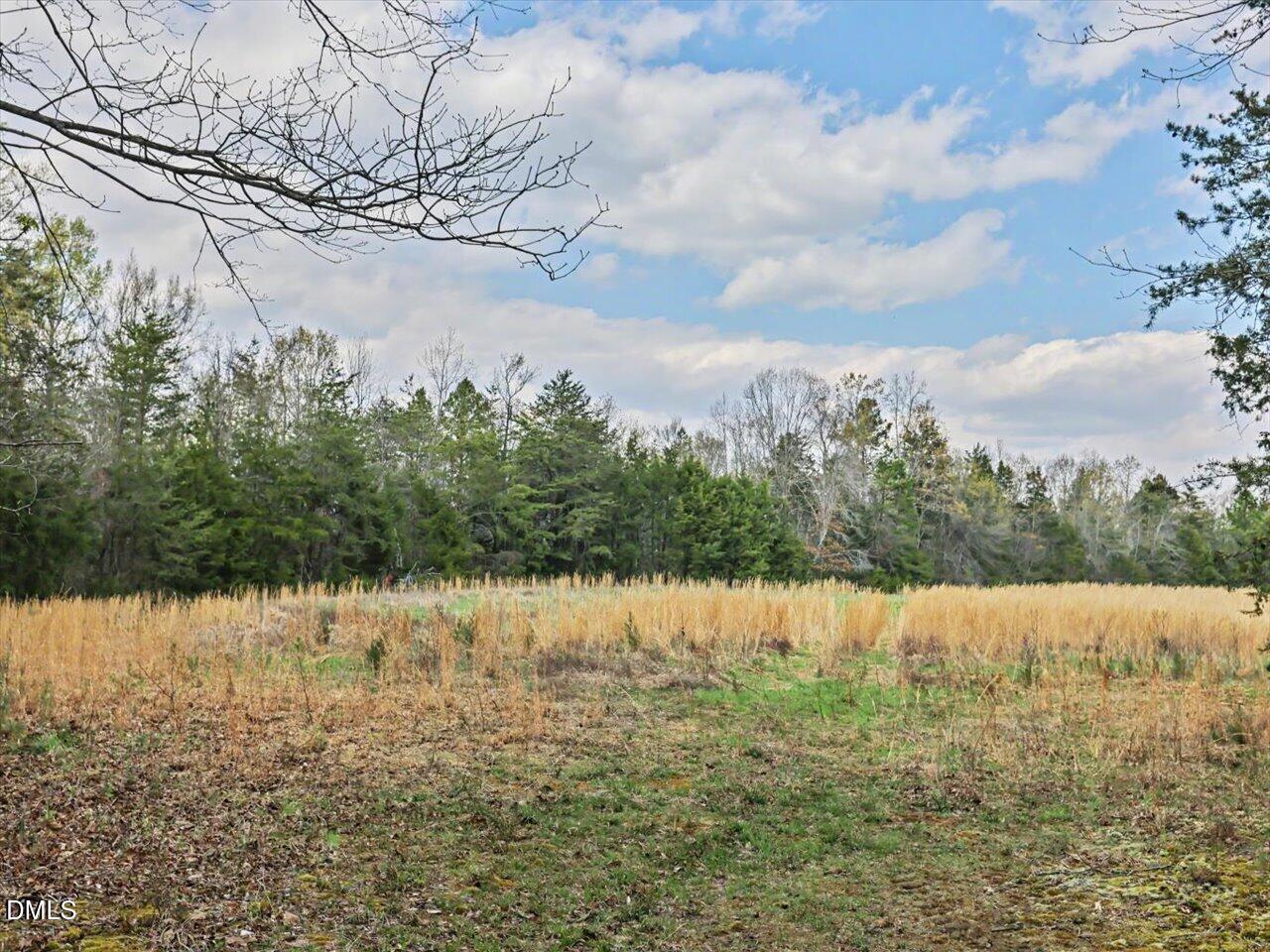 7793 Ridgeville Road Leasburg, NC 27291 - Photo 49 of 91