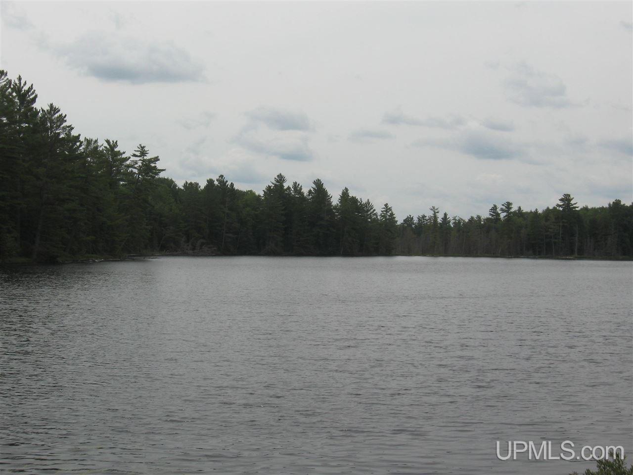 0 Rhody Cr, Unit CARTER LAKE RDP Seney, MI 49883 - Photo 28 of 36