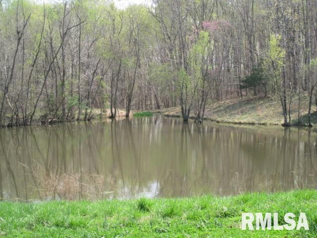 0 Nash Light Road Dongola, IL 62926 - Photo 8 of 14 Gallery Image 8