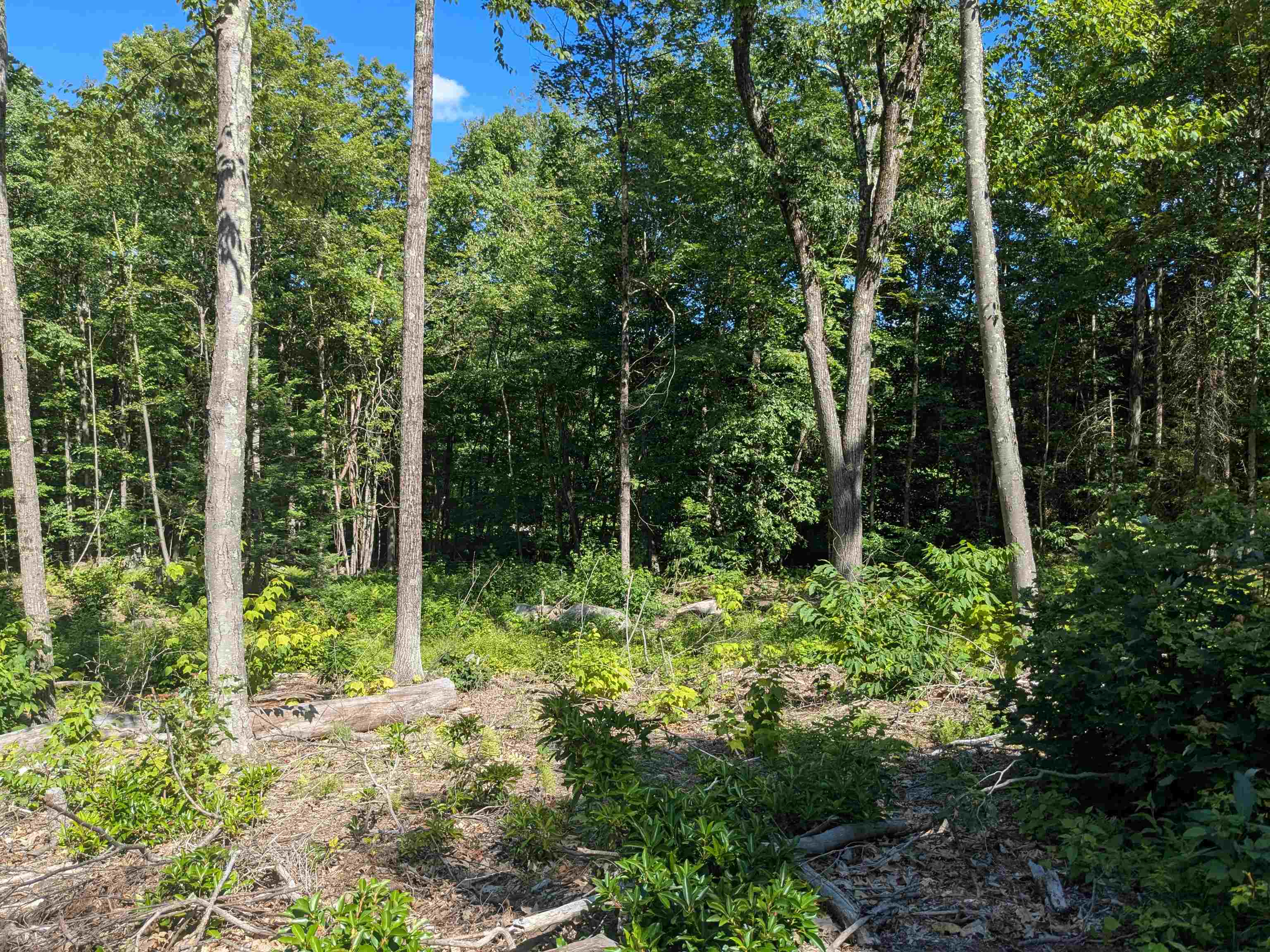 0 Old Hinsdale Road Winchester, NH 03470 - Photo 7 of 16