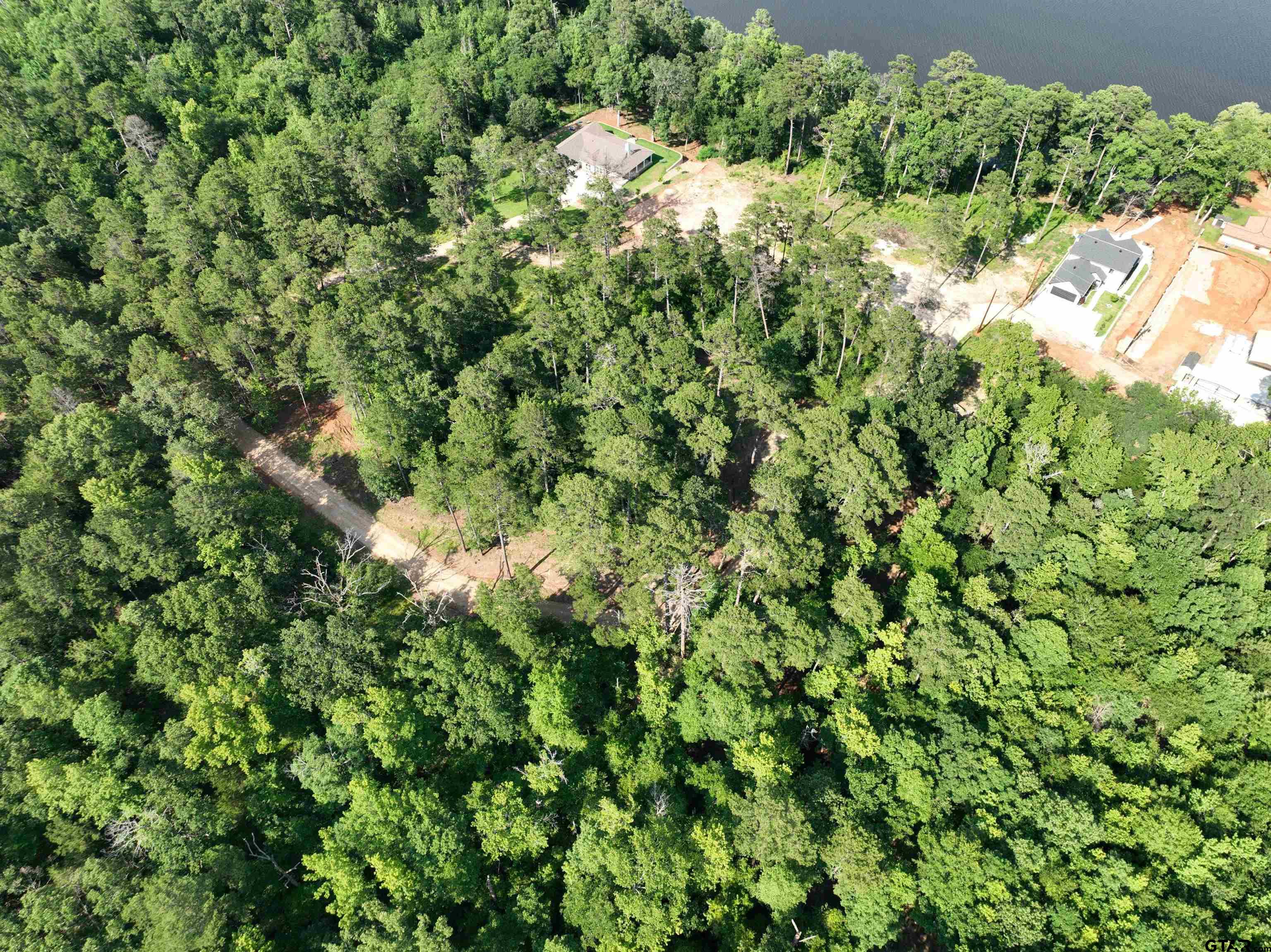 Tbd Pine Hills Road Gladewater, TX 75647 - Photo 6 of 10 a view of a lush green forest with a tree
