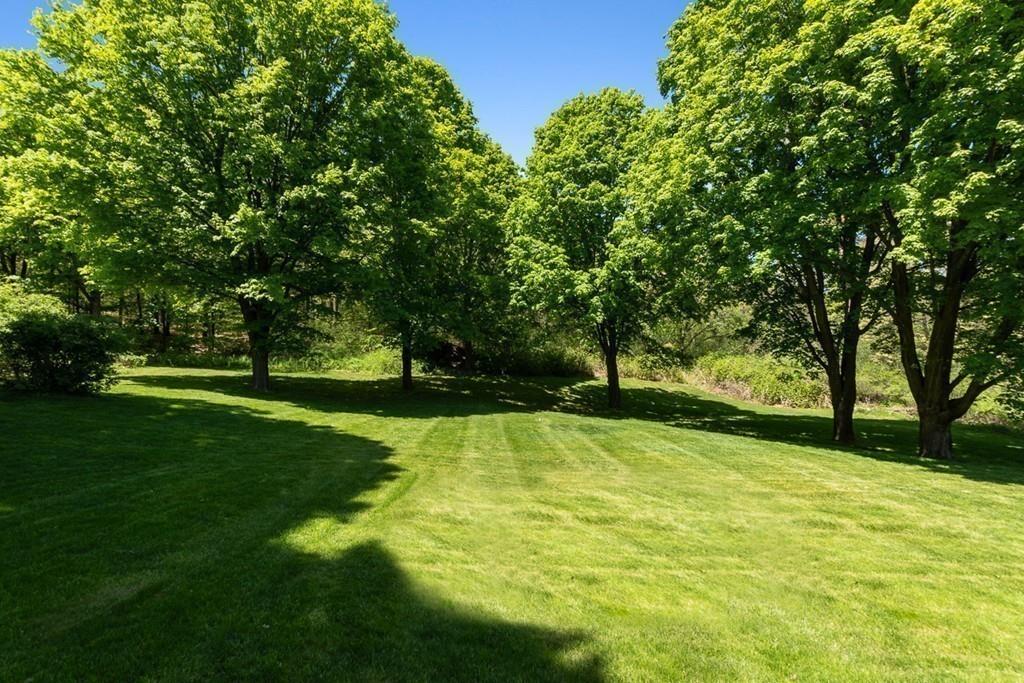 115 Mill Street Lincoln, MA 01773 - Photo 15 of 16 a view of yard with green space and trees