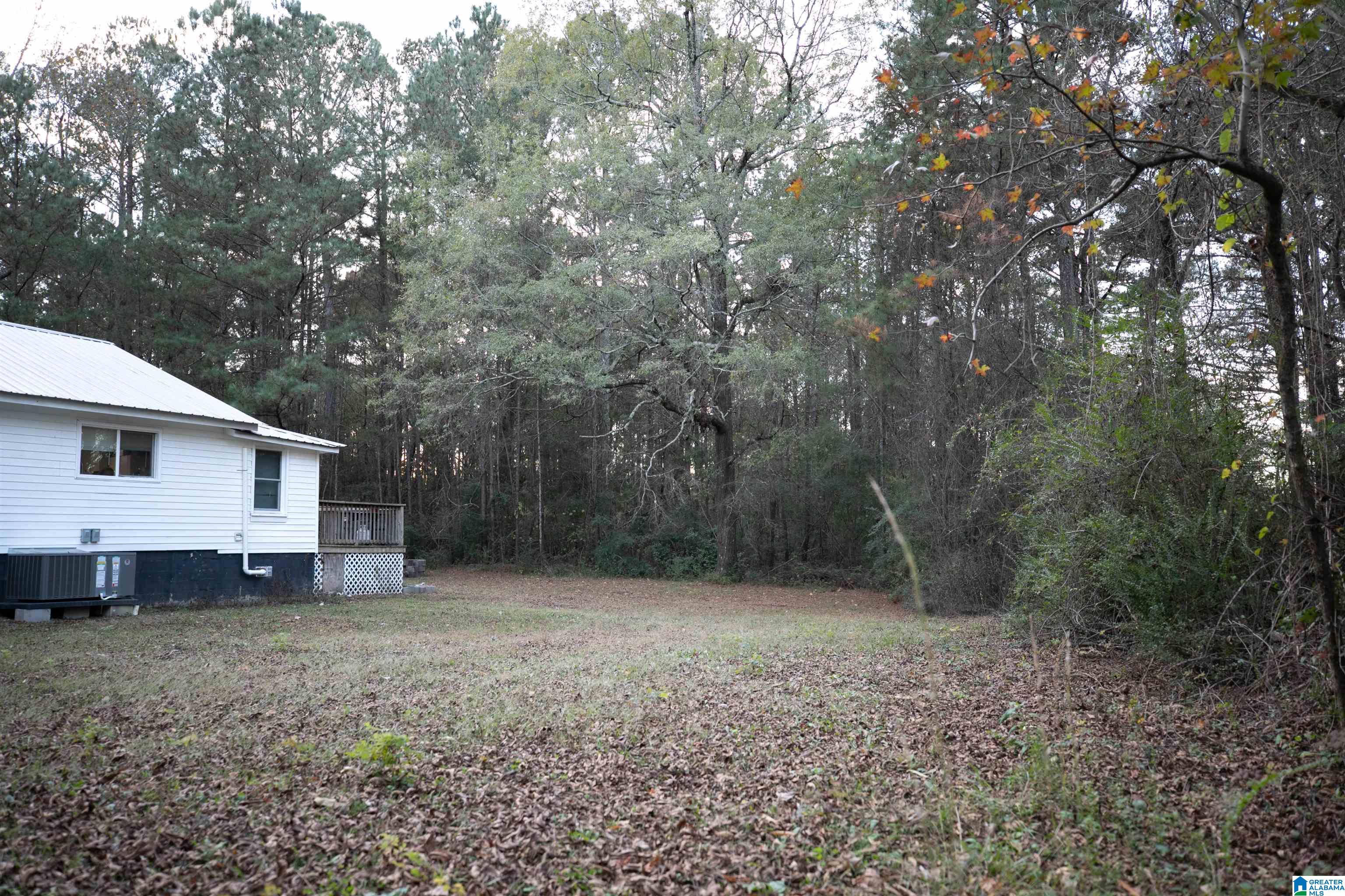 204 Best Street Centre, AL 35960 - Photo 6 of 13