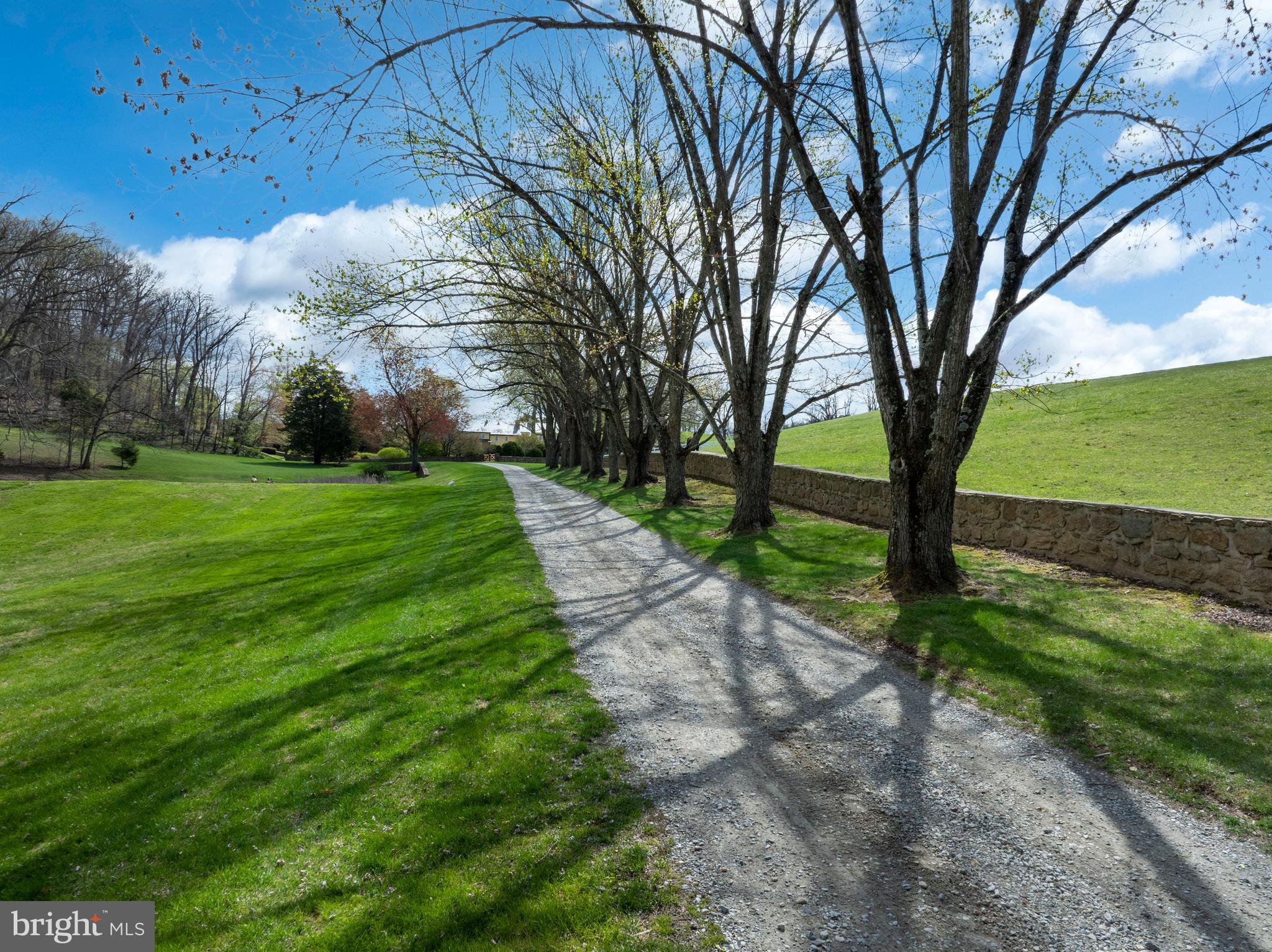 9981 Douglas Road Felton, PA 17322 - Photo 12 of 87 Tree lined entrance