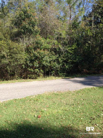 0 Ginkle Road South Irvington, AL 36544 - Photo 4 of 6