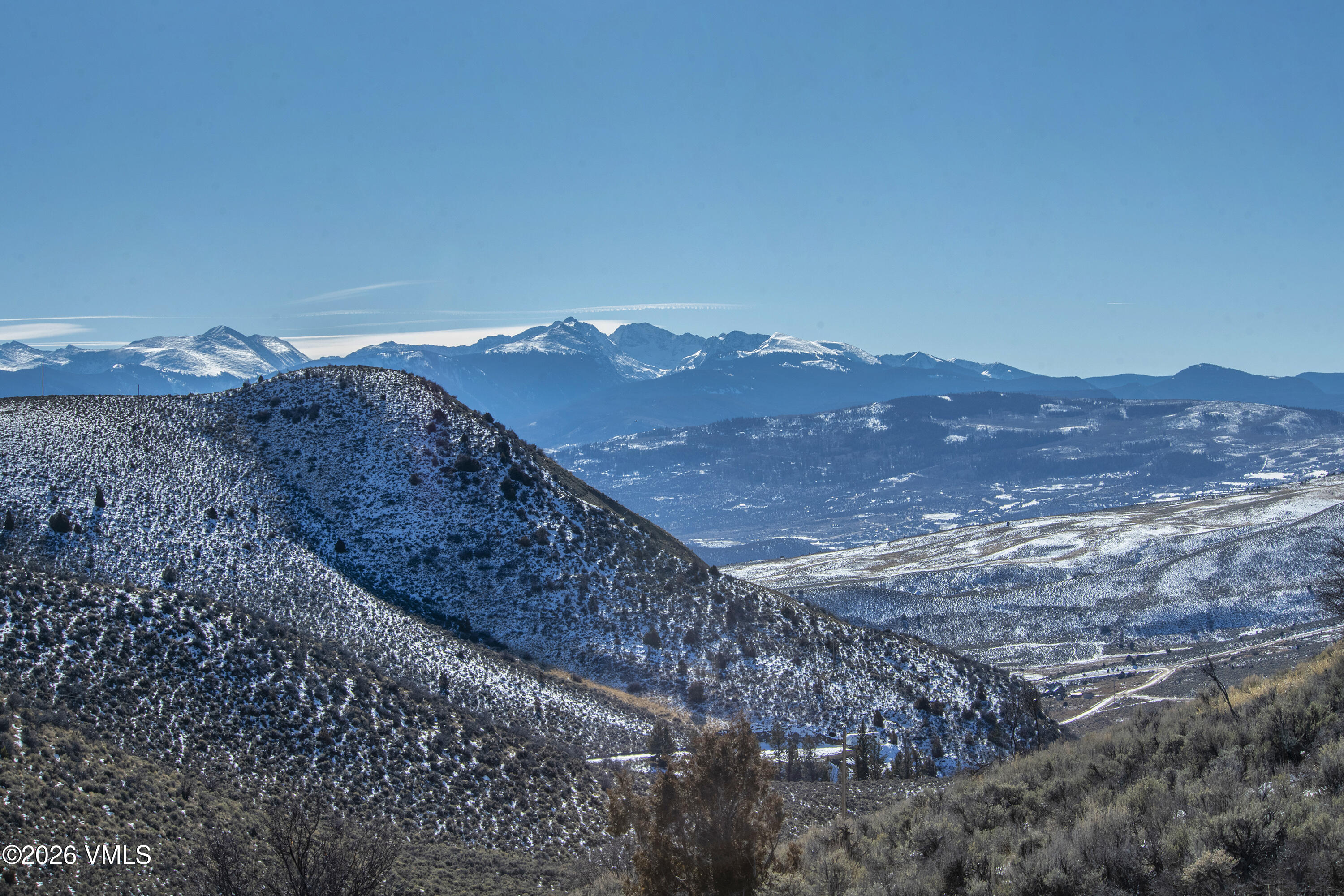 a view of a dry yard with green space