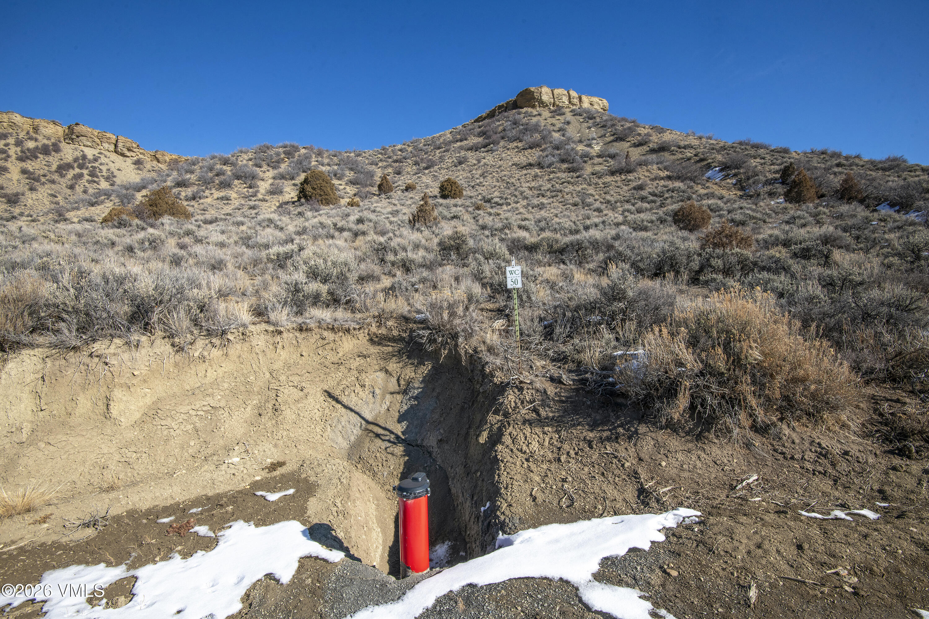 1697 Elk Ridge Road Wolcott, CO 81655 - Photo 18 of 37 a view of a large tree