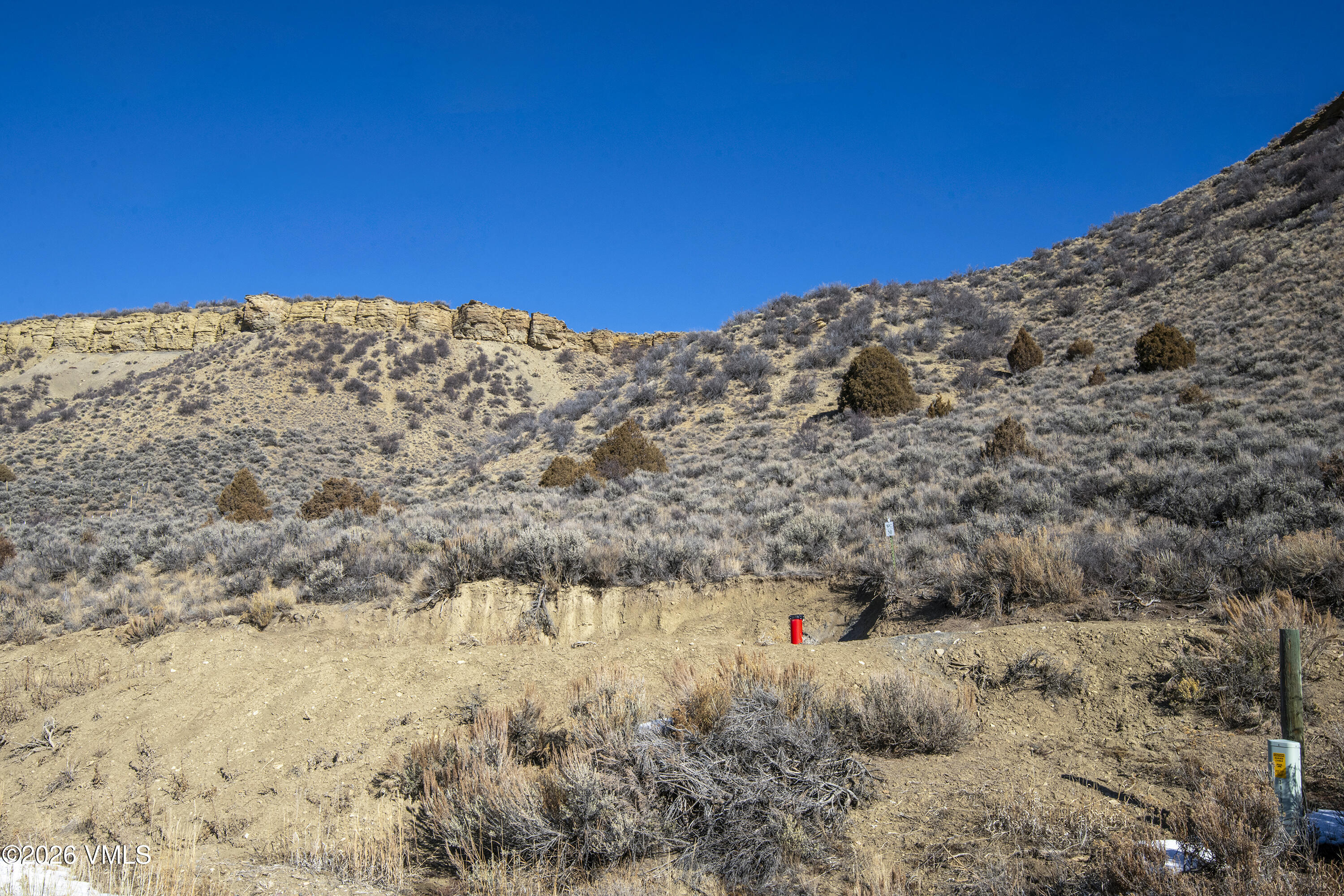 1697 Elk Ridge Road Wolcott, CO 81655 - Photo 35 of 37 a view of a large tree