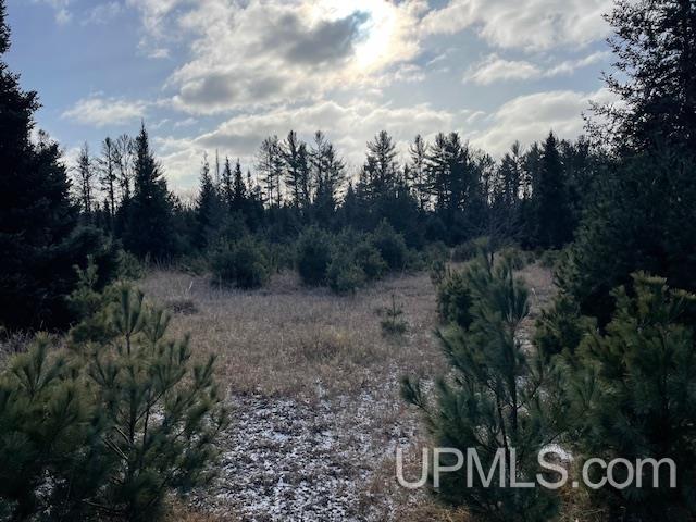 T-wi Rainbow Road Pembine, WI 54156 - Photo 6 of 7