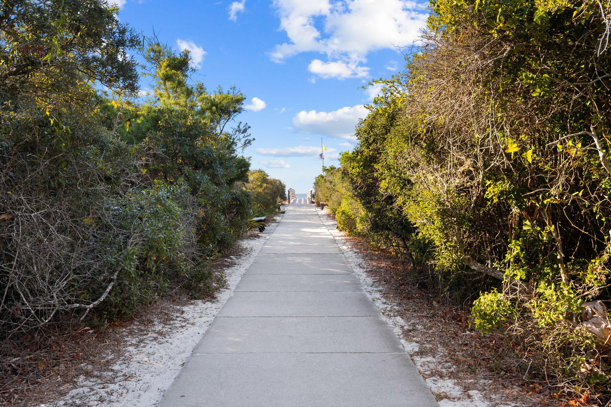 311 Walton Rose Ln Inlet Beach Inlet Beach, FL 32461 - Photo 8 of 90 Path to Beach
