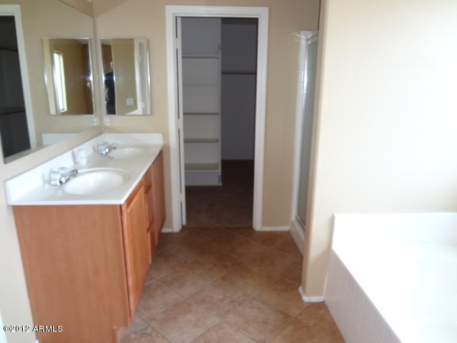 9204 West Payson Road Tolleson, AZ 85353 - Photo 11 of 17 a bathroom with a sink a mirror and a bathtub