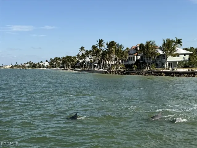 a view of a lake with houses