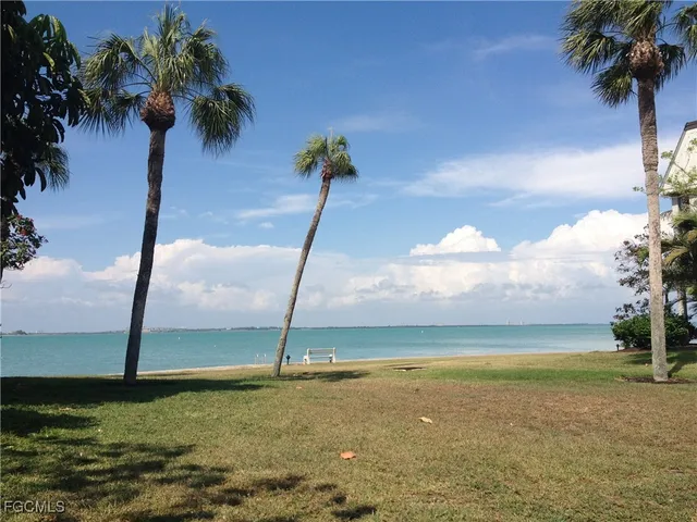 a view of a ocean with a palm tree in the background