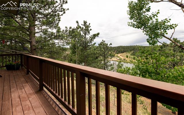 113 Spring Valley Circle Divide, CO 80814 - Photo 18 of 23 Gallery Image 18