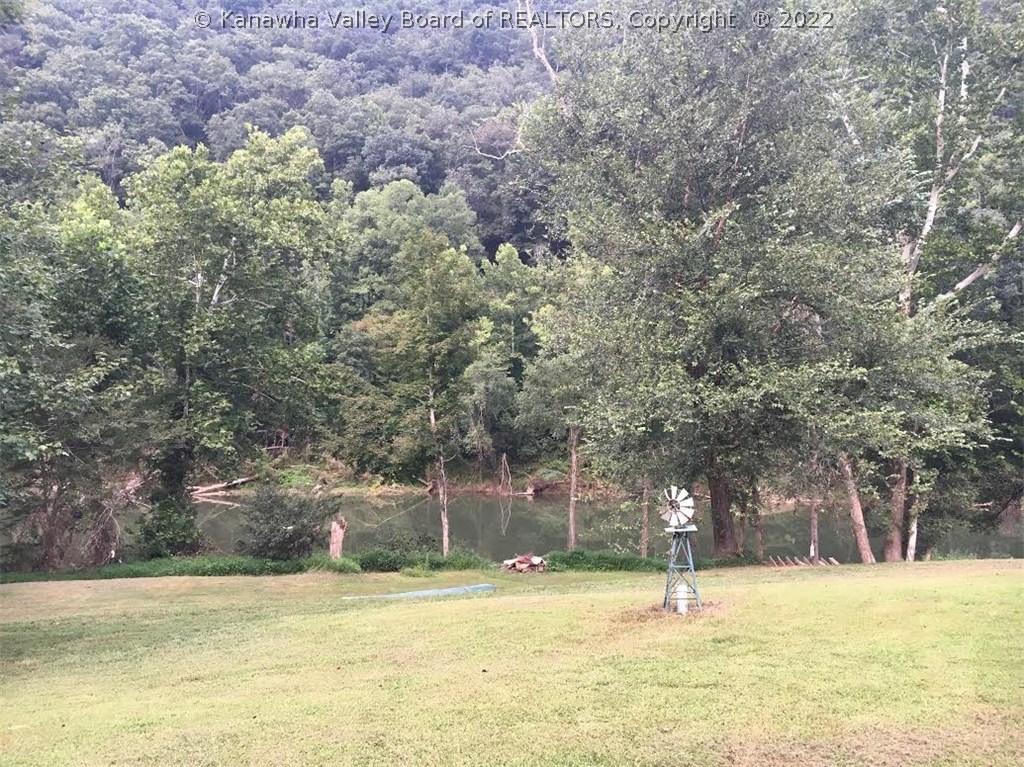 932 Joes Road Procious, WV 25164 - Photo 7 of 23 Gallery Image 7