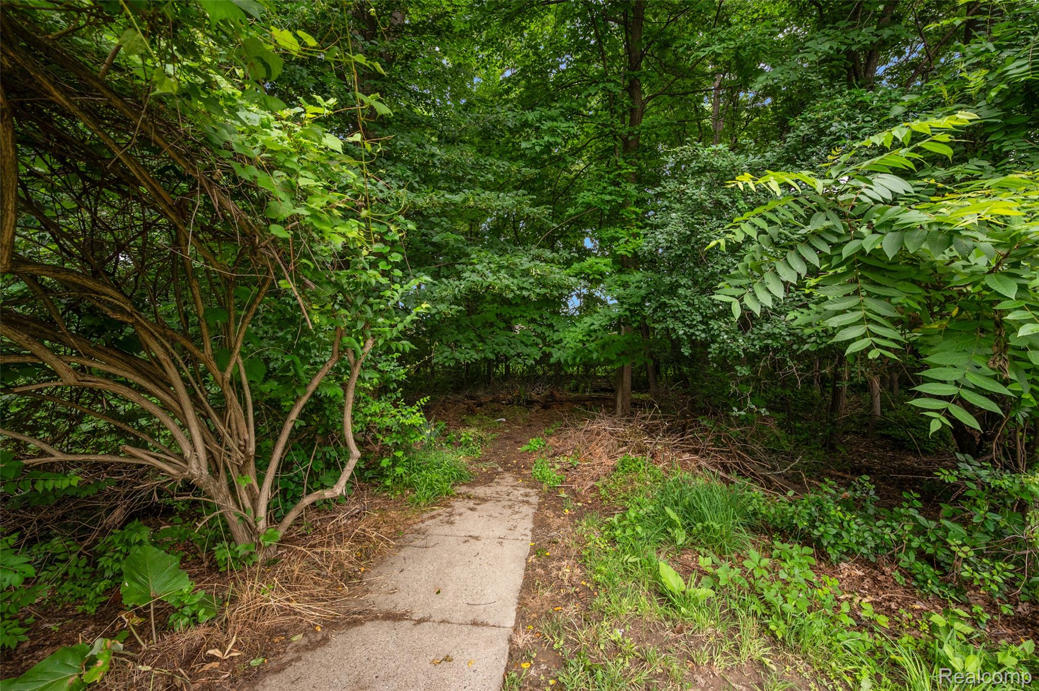 930 Little Hill Court Rochester, MI 48307 - Photo 12 of 38 17-930 Little Hill Ct -17.jpg
