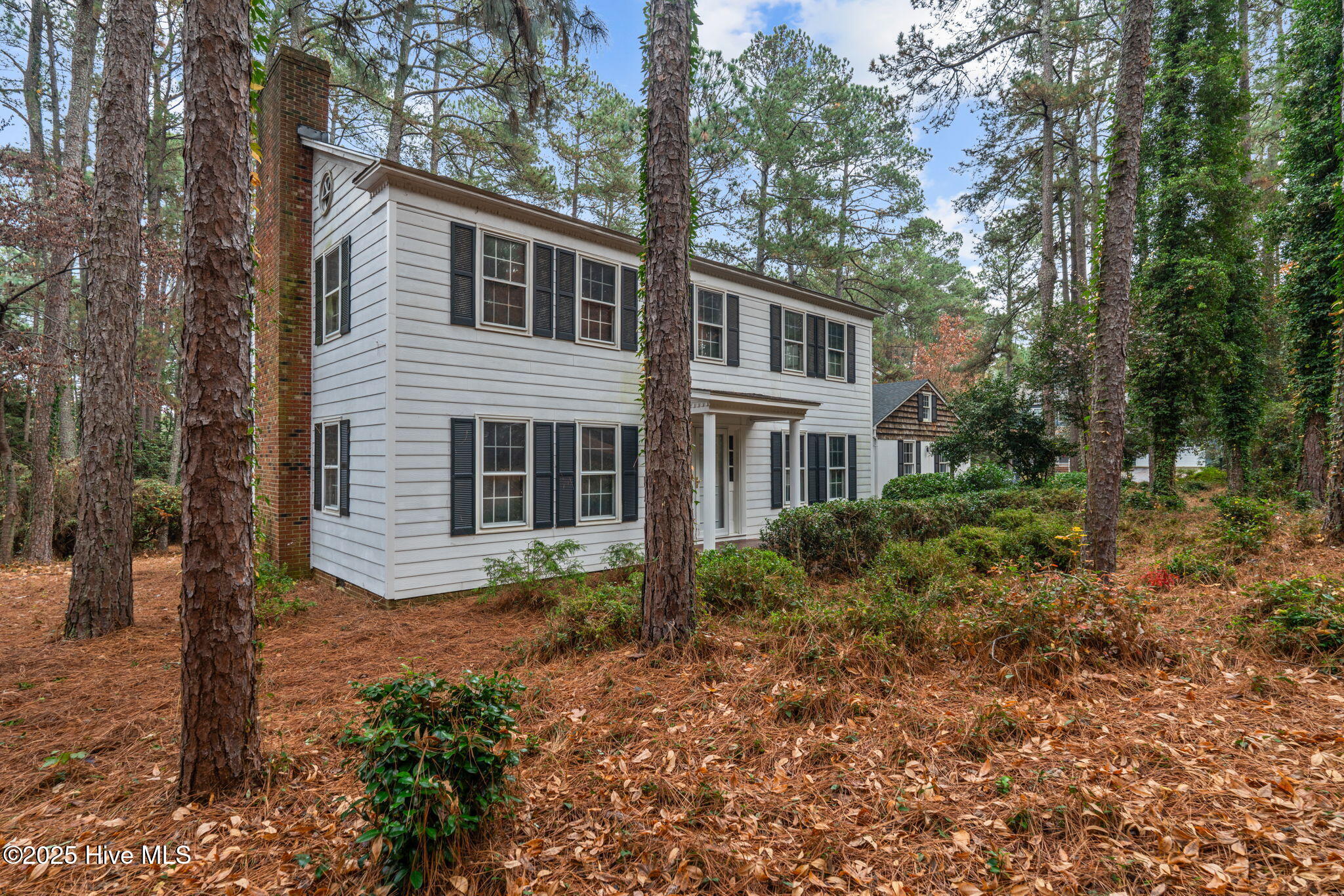102 James Creek Road Southern Pines, NC 28387 - Photo 2 of 45 lh45